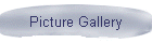 Picture Gallery